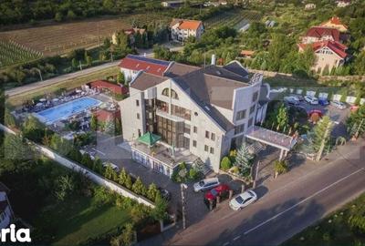 Spațiu comercial, de 3,700 mp, în Podgoria - 5