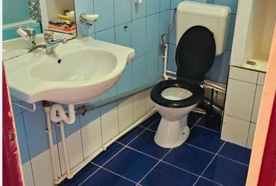 Apartament cu 2 camere decomandat, mobilat în Nord - 3