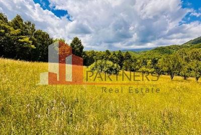 Teren de la 2772 mp Podul Simonului- Bran - 12