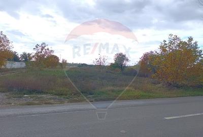 Teren Construcții intravilan de 2056 mp, în Ciolpani - 11