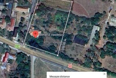 Casă cu 7 camere cu Teren 7500 Mp în Leu - 3