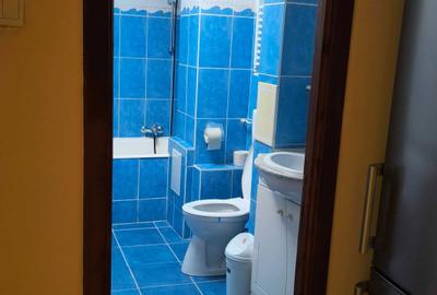 Apartament cu 2 camere decomandat în Olteniței - 2