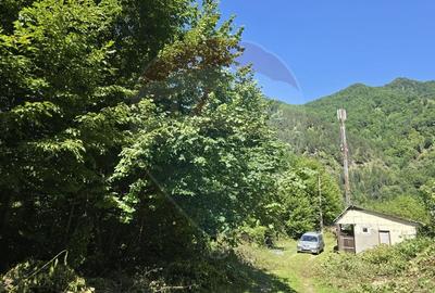Teren 4,000mp Pascoaia / Soseaua Punctul Chiliilor - 5
