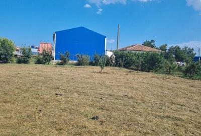Spațiu comercial, în Poiana - 6