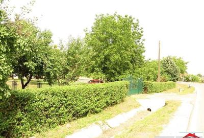 Casa cu teren 4,3 hectare in Livada ( ID 22148) - 1