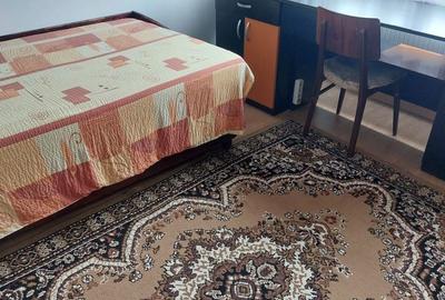Apartament cu 3 camere decomandat în Lujerului - 4