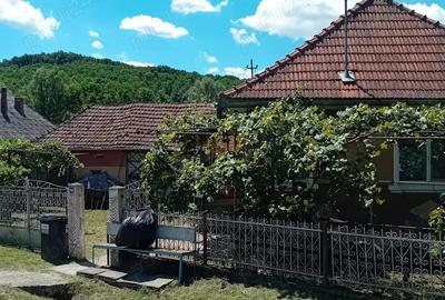 Vand casa la ?ara - 5