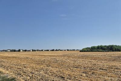 Teren Construcții intravilan de 4428 mp, în Balotești - 5