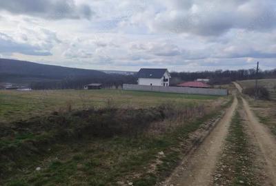 Teren de 5487 mp, în Betfia - 3