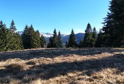 Priveliste Bugeci, Magura, Piatra Craiului | PUZ aprobat Pensiune - 6