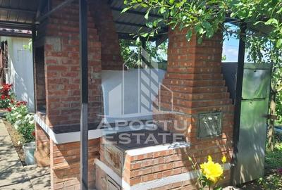 Casa individuala in Ianova,Comuna Remetea Mare - 7