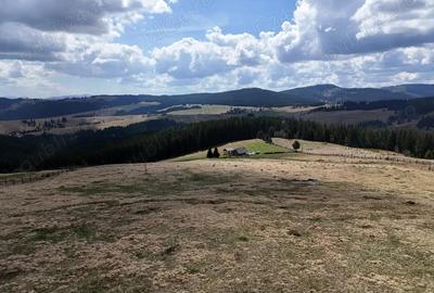 Teren de vanzare 15 hectare in Bucovina Moldova Sulita zona Lucina - 8