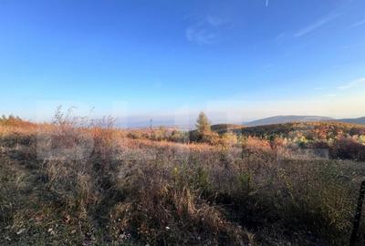 Teren de vanzare - 1