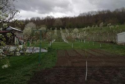 Casă cu 2 camere cu Teren 2984 Mp în Avrămești - 6