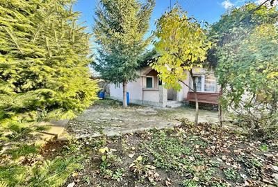 De Vanzare , TEREN in suprafata de 1900 mp , cu CASA BATRANEASCA - 10