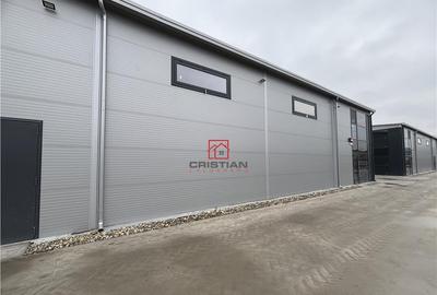 Spațiu comercial, de 600 mp, în Chitila - 9