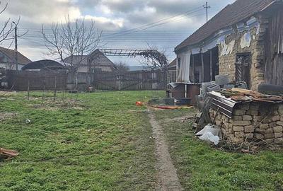 Casă cu 2 camere în Bogei - 4