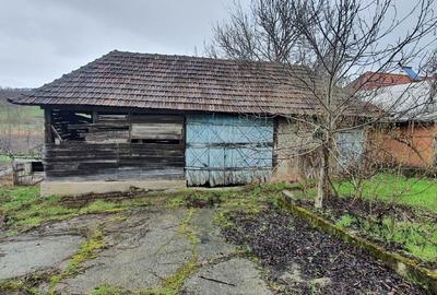 Babța Satu Mare casa si teren de vanzare - 2