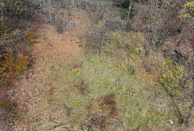 Casa de vacanta Timisu de Sus/Brasov/Oportunitate investitie - 8