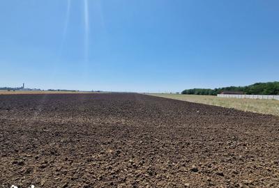Teren de 1500 mp, în Fundulea - 7