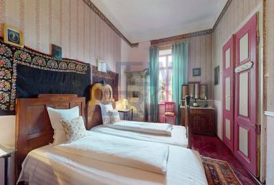 CONACUL GEORGE STEPHANESCU - 5