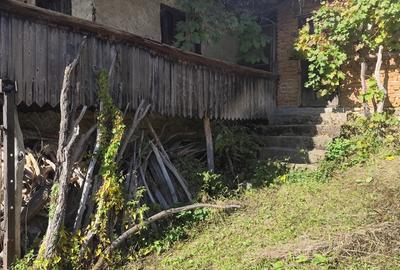Casa de vanzare batraneasca in Schela jud Gorj - 2