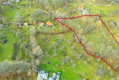 Teren Construcții intravilan de 4384 mp, în Talea - 8