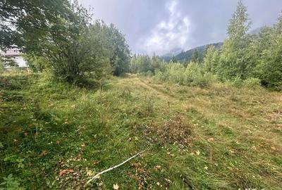Teren de 608 mp, în Băișoara - 2