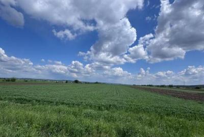 Teren extravilan, 1 hectar, Volovat - 4