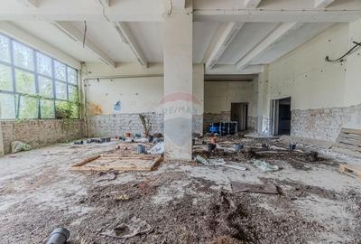 Spatiu industrial de 2060mp cu teren de 3358mp de vanzare Str Turnului Spatiu industrial de 2060mp cu teren de 3358mp de vanzare Str Turnului - 36