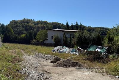 Teren Construcții intravilan de 800 mp, în Făget - 3