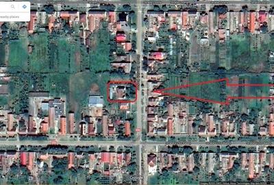 Casă cu 4 camere cu Teren 1307 Mp în Jimbolia - 1
