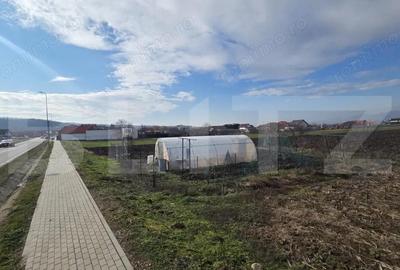 Teren de 14300 mp, în Ciugud - 1