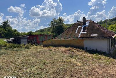 Casă cu 2 camere cu Teren 3200 Mp în Traian - 20