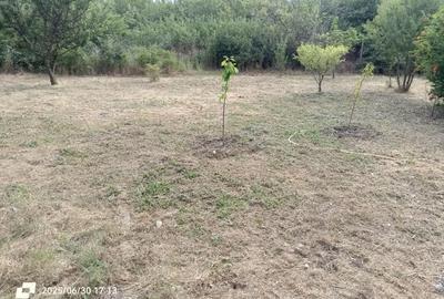 Casă cu 3 camere în Tuzla - 5
