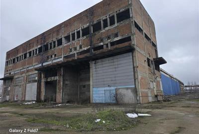Spațiu industrial, de 17,500 mp, în Zona Liberă - 19