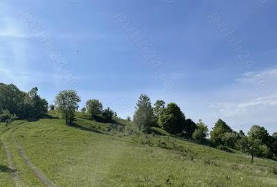 Teren în Central - 2