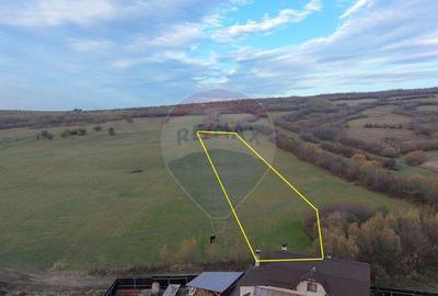 Teren 5.800 mp Purcareni curent, gaz, apa / Strada 30 de... - 14