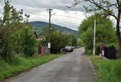 Teren de 10000 mp, în Unguriu - 1
