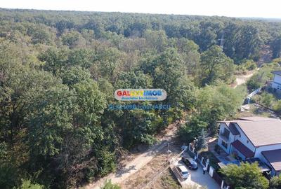 Vila cu garaj Padurea Pantelimon - 4 camere - 2