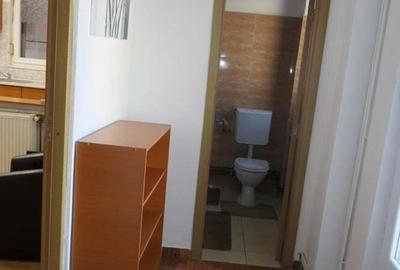 Apartament 1 camera spa?ios, incalzire proprie, central - Podgoria - 9