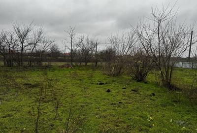 Casă cu 3 camere în Florica - 1