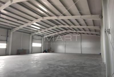 Spațiu industrial, de 600 mp, în Stupini - 2
