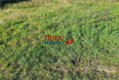 Teren Intravilan zona Orizont - 500mp - 3