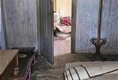 Vanzare Casa individuala+ Teren Gara de Nord-Golescu - 5