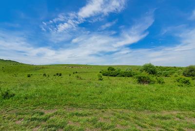 Teren agricol extravilan de 3000 mp, în Borșa - 2