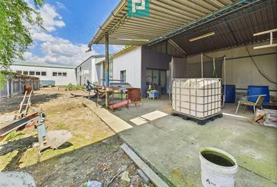 Cladire cu 5 camere cu teren ?i hala in Cenad - 9