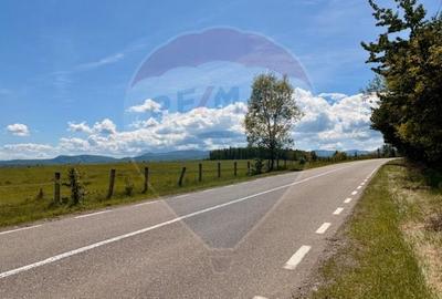 Teren Construcții intravilan de 5565 mp, în Giulești - 6