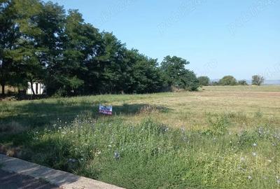 Teren intravilan Berca - 3