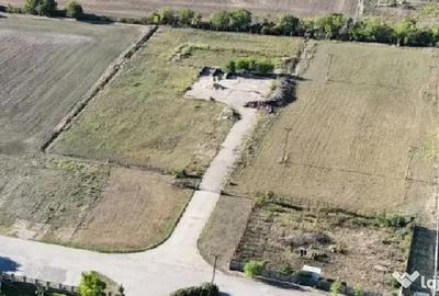 Teren în Zimandu Nou - 1